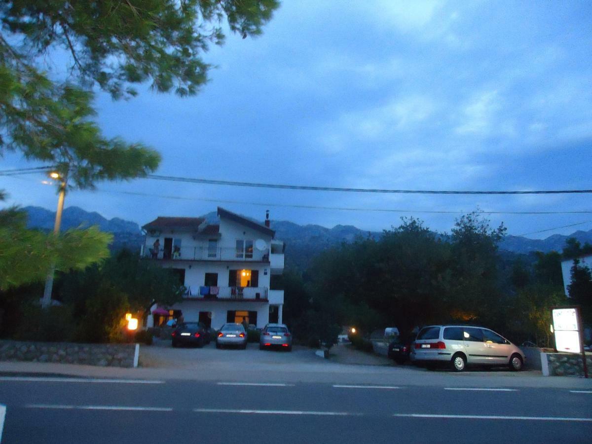 Vrsa